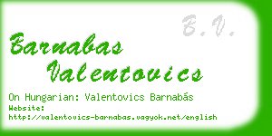 barnabas valentovics business card