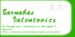 barnabas valentovics business card